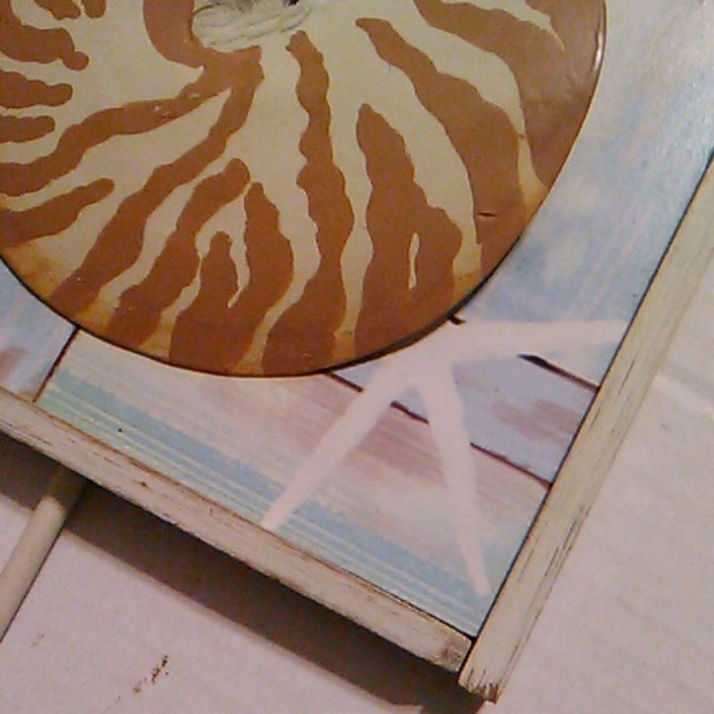 Seashell picture with metal hook - Picture 4 of 8